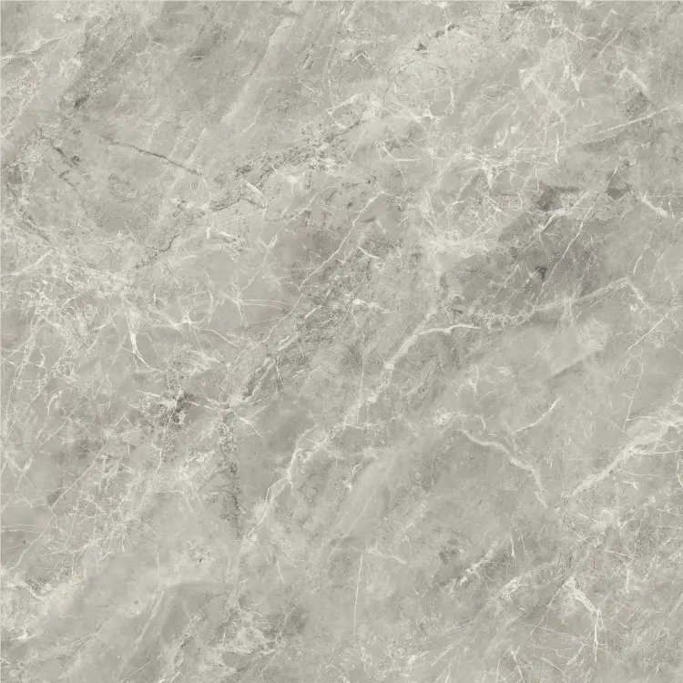 Baldocer Balmoral Grey 60x60 połysk — płytka
