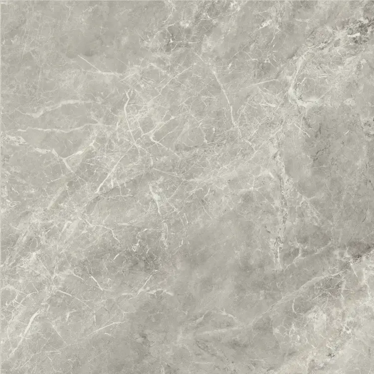 Baldocer Balmoral Grey 60x60 połysk — płytka