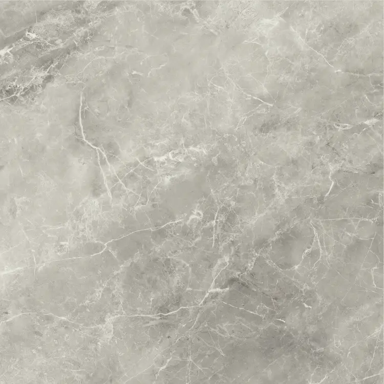 Baldocer Balmoral Grey 60x60 połysk — płytka