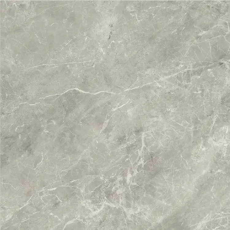 Baldocer Balmoral Grey 60x60 połysk — płytka