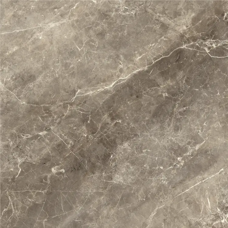 Baldocer Balmoral Brown 60x60 połysk — płytka