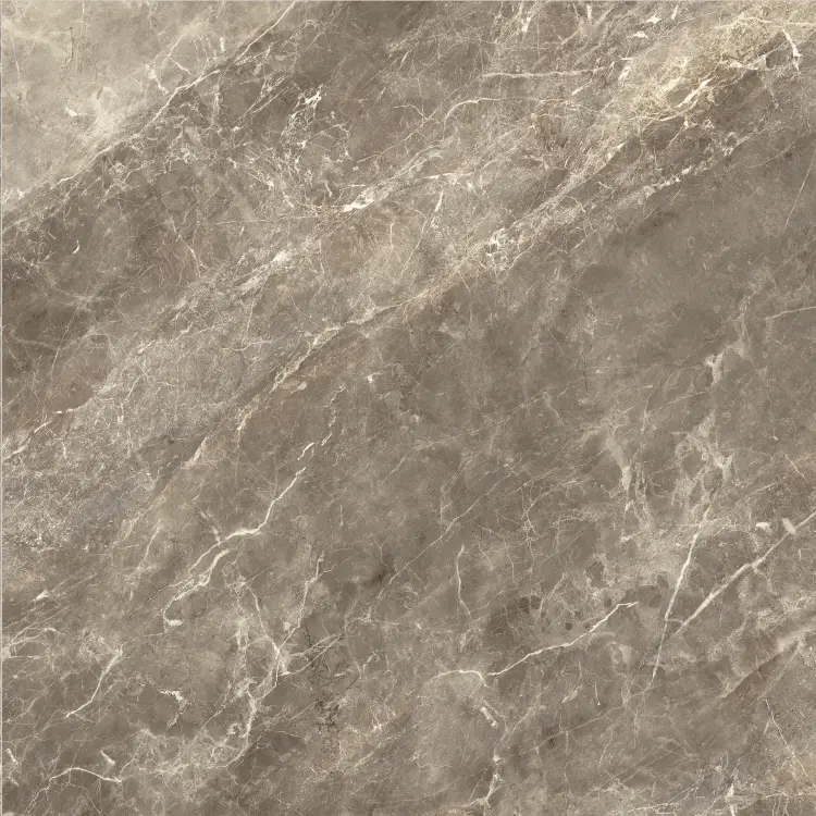 Baldocer Balmoral Brown 60x60 połysk — płytka