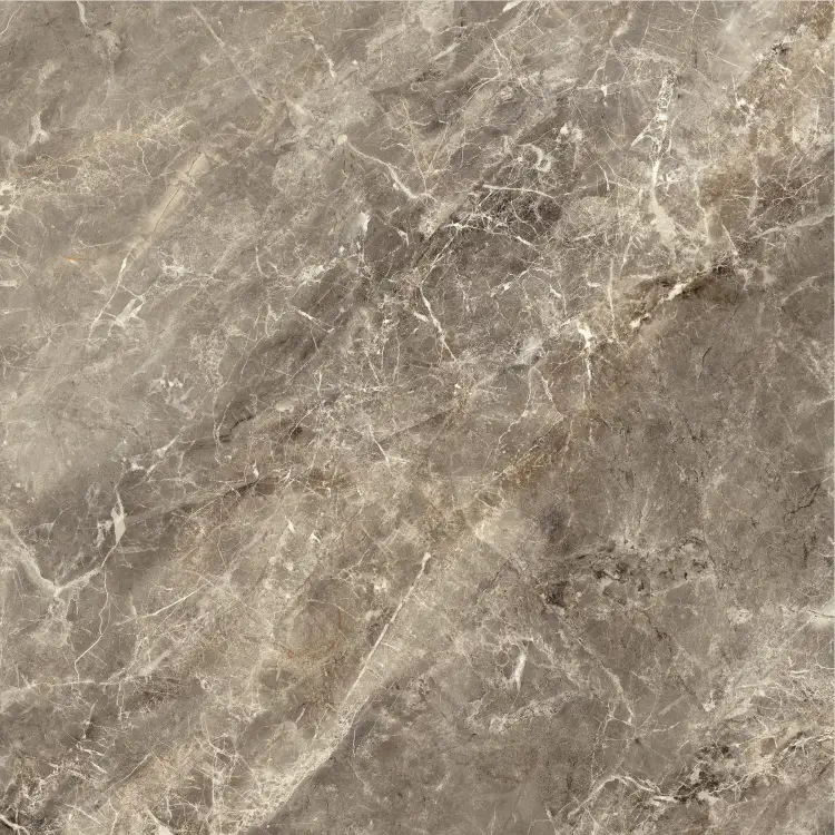 Baldocer Balmoral Brown 60x60 połysk — płytka