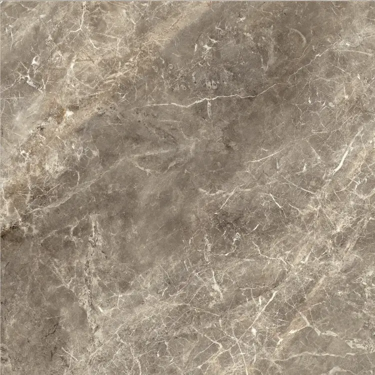 Baldocer Balmoral Brown 60x60 połysk — płytka