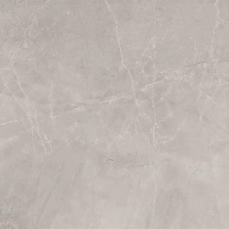 Baldocer Bayona Silver Natural 120x120 mat — płytka