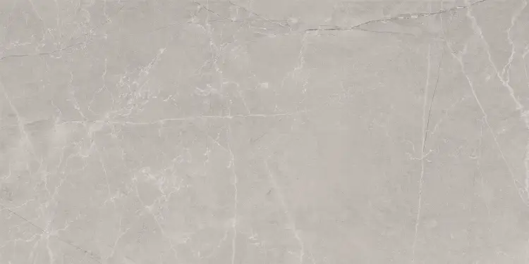 Baldocer Bayona Silver Natural 60x120 mat — płytka