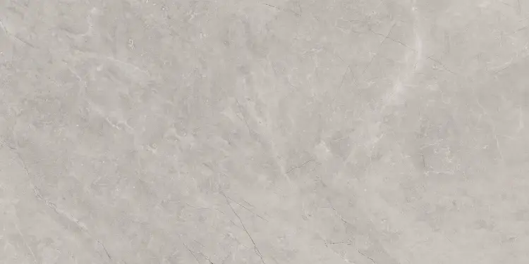 Baldocer Bayona Silver Natural 60x120 mat — płytka