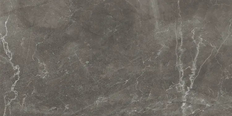 Baldocer Bayona Grey Natural 60x120 mat — płytka