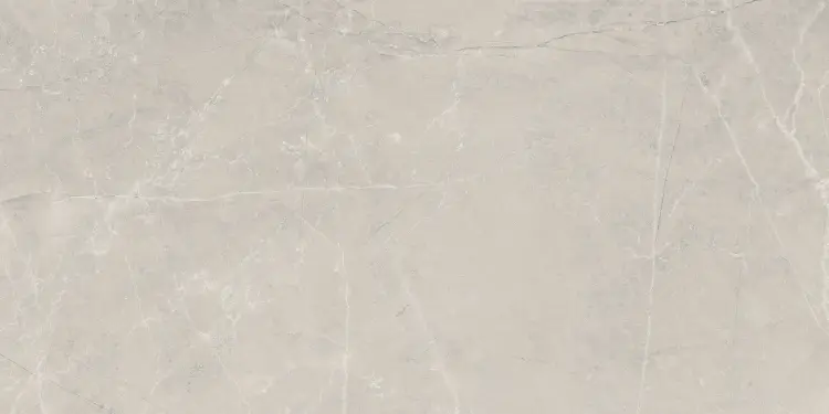 Baldocer Bayona Silver Pulido 60x120 połysk — płytka