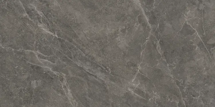 Baldocer Bayona Grey Pulido 60x120 połysk — płytka