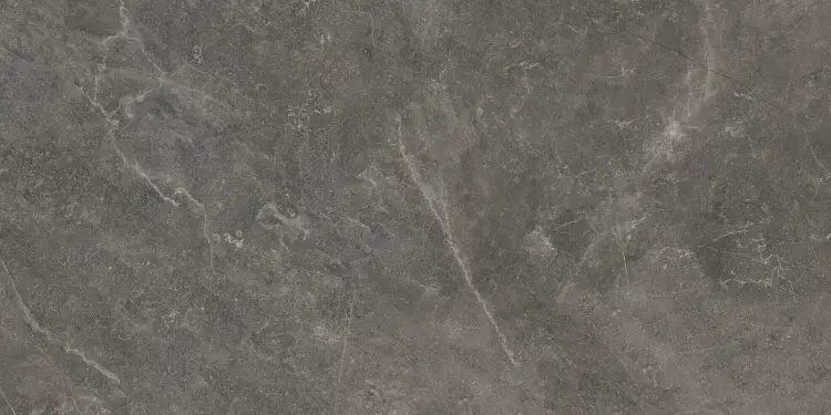 Baldocer Bayona Grey Pulido 60x120 połysk — płytka