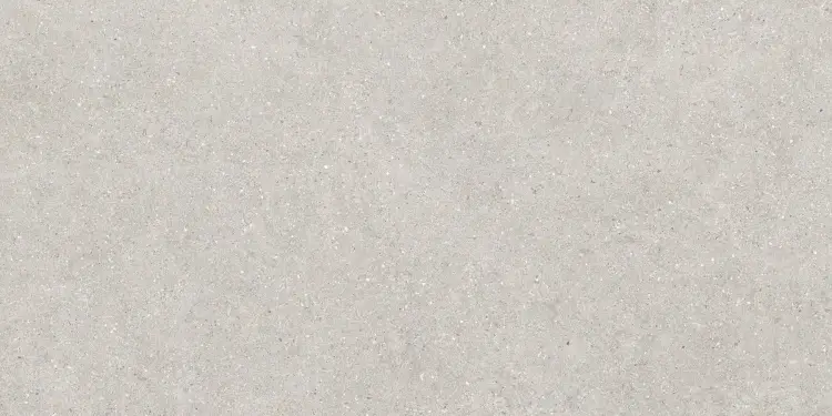 Baldocer Brunswich Ceniza 80x160 mat — płytka