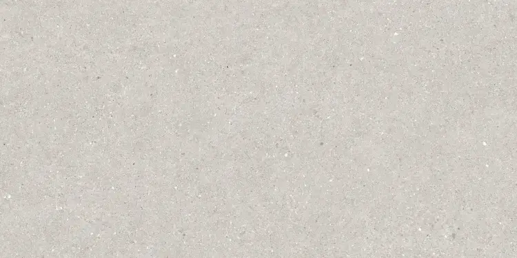 Baldocer Brunswich Ceniza 80x160 mat — płytka