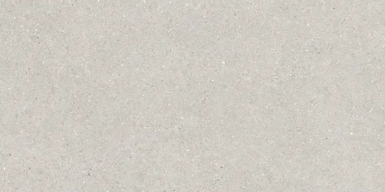 Baldocer Brunswich Ceniza 80x160 mat — płytka