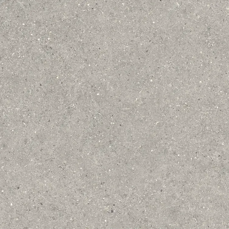 Baldocer Brunswich Acero 80x80 mat — płytka