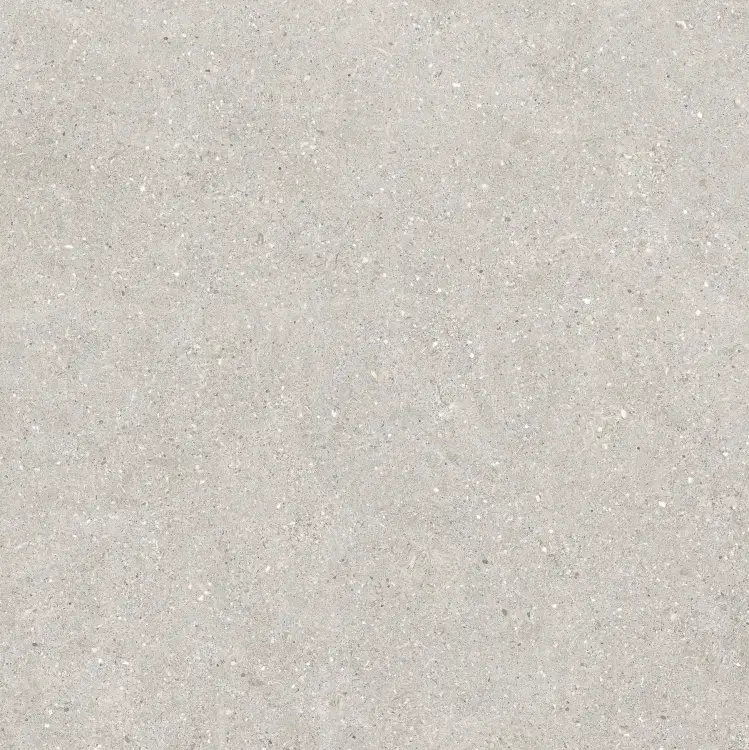 Baldocer Brunswich Ceniza 80x80 mat — płytka