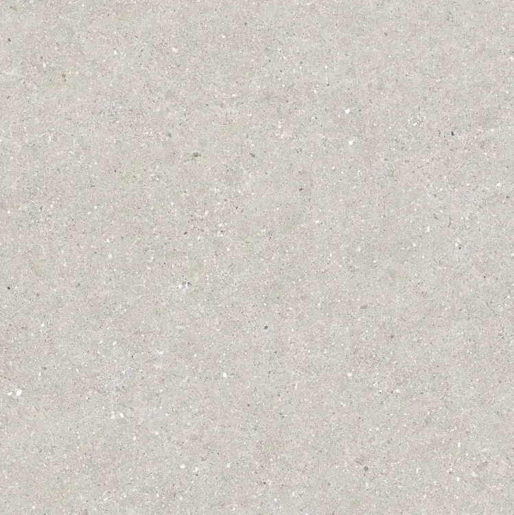 Baldocer Brunswich Ceniza 80x80 mat — płytka