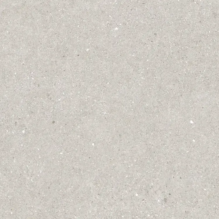 Baldocer Brunswich Ceniza 80x80 mat — płytka