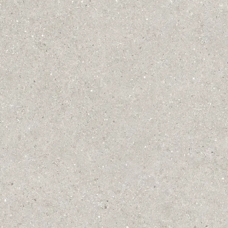Baldocer Brunswich Ceniza 80x80 mat — płytka