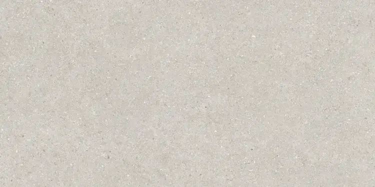 Baldocer Brunswich Ceniza 60x120 mat — płytka