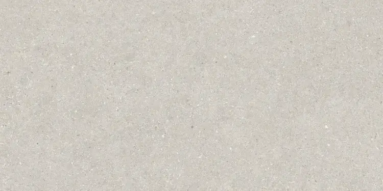 Baldocer Brunswich Ceniza 60x120 mat — płytka