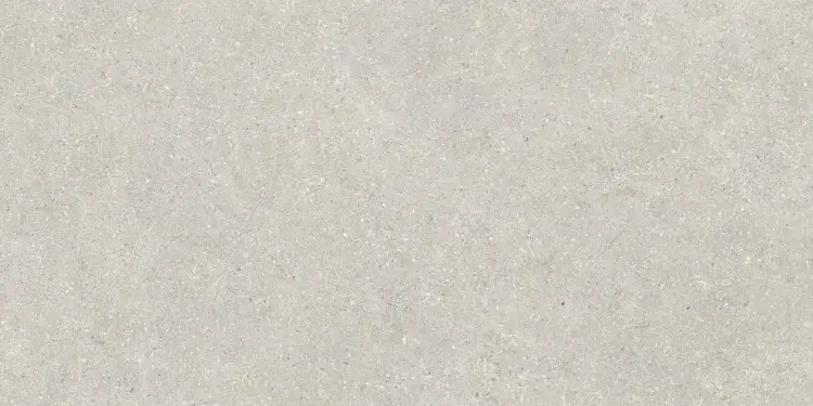 Baldocer Brunswich Ceniza 60x120 mat — płytka