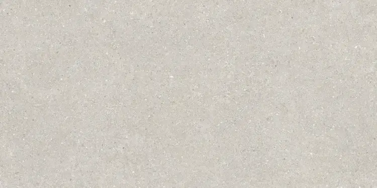 Baldocer Brunswich Ceniza 60x120 mat — płytka