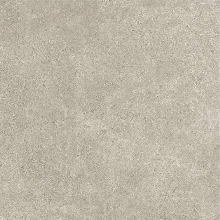 Baldocer Icon Grey 60x60 mat — płytka