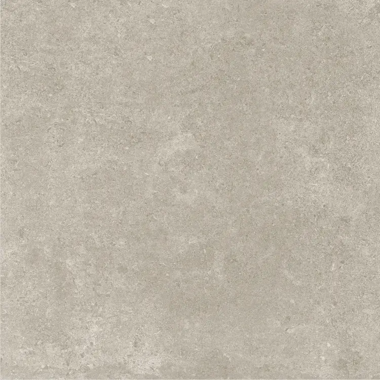 Baldocer Icon Grey 60x60 mat — płytka