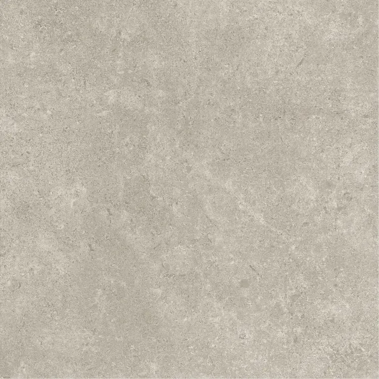 Baldocer Icon Grey 60x60 mat — płytka