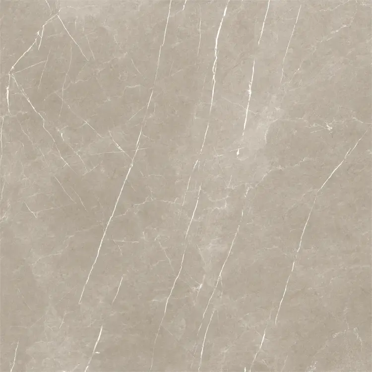 Baldocer Eternal Taupe Natural 120x120 mat — płytka