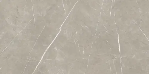 Baldocer Eternal Taupe Natural 80x160 mat — płytka