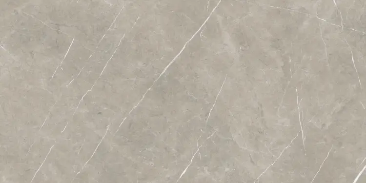 Baldocer Eternal Taupe Natural 80x160 mat — płytka