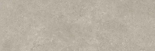 Baldocer Icon Grey 30x90 mat — płytka