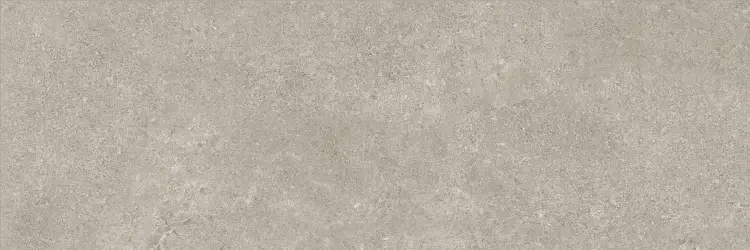 Baldocer Icon Grey 30x90 mat — płytka