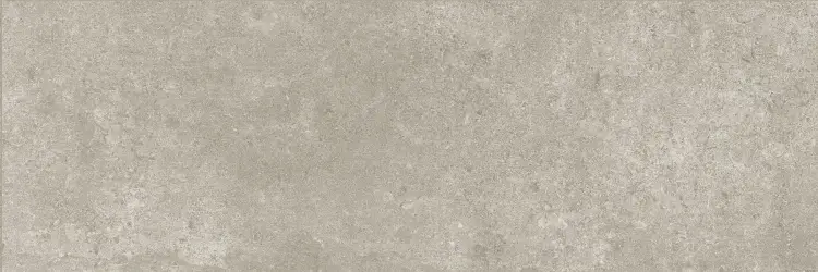 Baldocer Icon Grey 30x90 mat — płytka