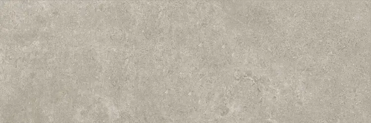 Baldocer Icon Grey 30x90 mat — płytka