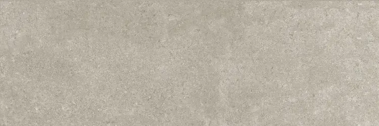 Baldocer Icon Grey 30x90 mat — płytka