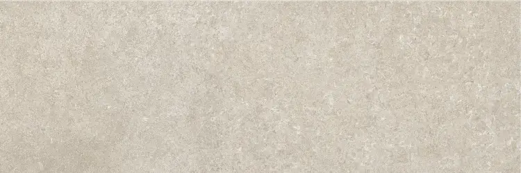 Baldocer Ozone Grey 30x90 mat — płytka