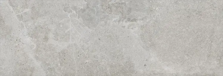 Baldocer Dome Ash 30x90 mat — płytka