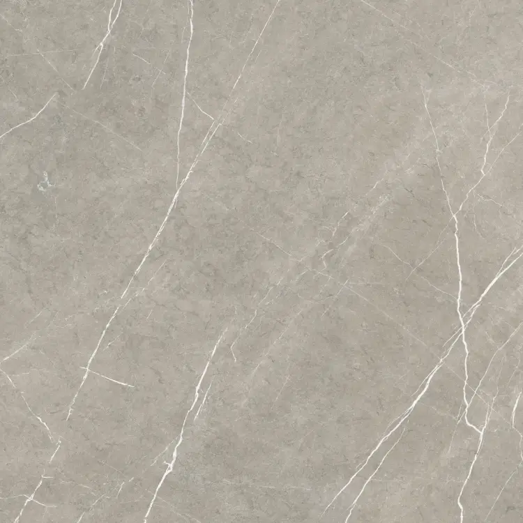 Baldocer Eternal Taupe Natural 80x80 mat — płytka