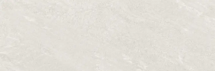 Baldocer Nature Ash 40x120 satyna — płytka