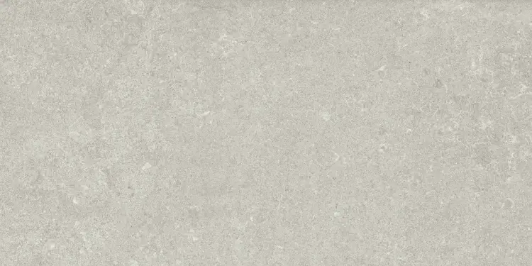 Baldocer Ozone Grey 30x60 mat — płytka