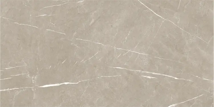 Baldocer Eternal Taupe Pulido 60x120 połysk — płytka
