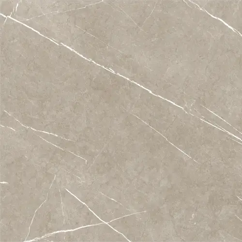 Baldocer Eternal Taupe Natural 60x60 mat — płytka