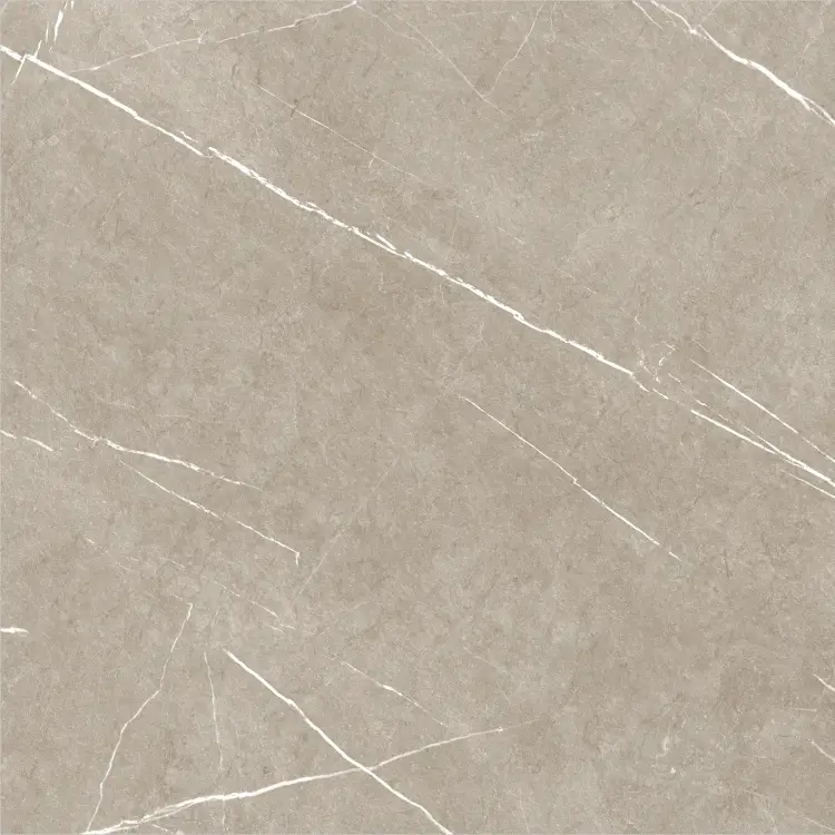 Baldocer Eternal Taupe Natural 60x60 mat — płytka