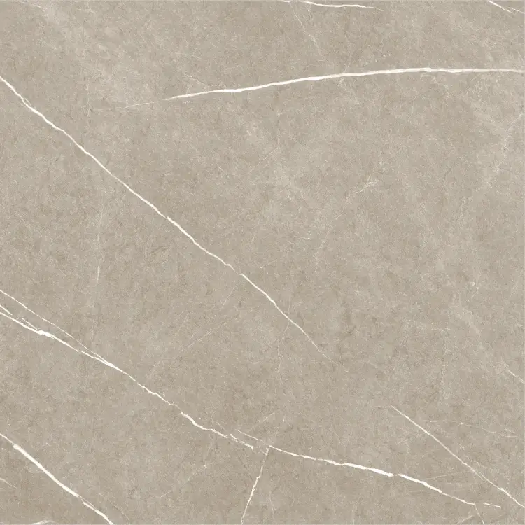 Baldocer Eternal Taupe Natural 60x60 mat — płytka