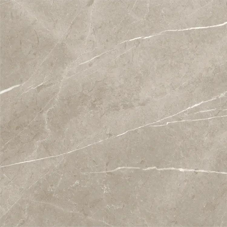 Baldocer Eternal Taupe Natural 60x60 mat — płytka
