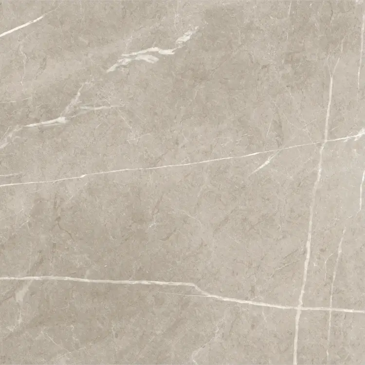 Baldocer Eternal Taupe Natural 60x60 mat — płytka