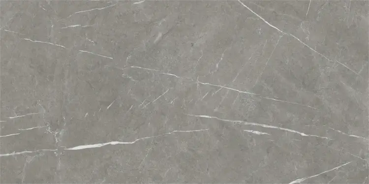 Baldocer Eternal Dark Natural 60x120 mat — płytka